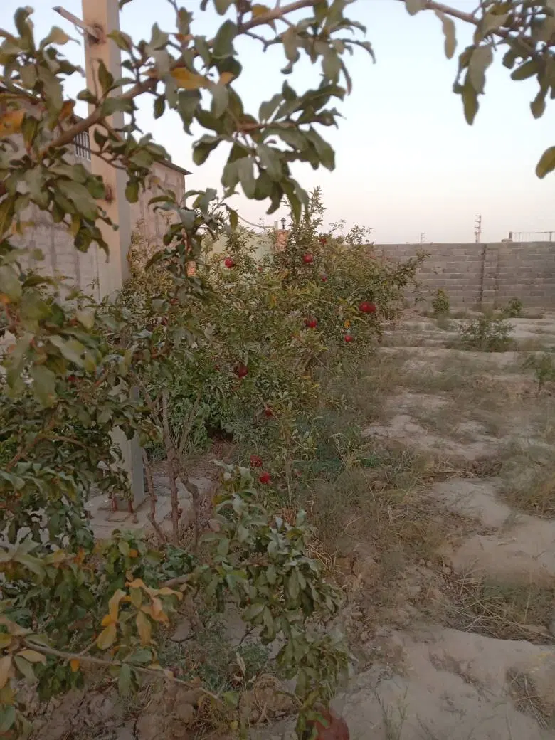زمین فروشی