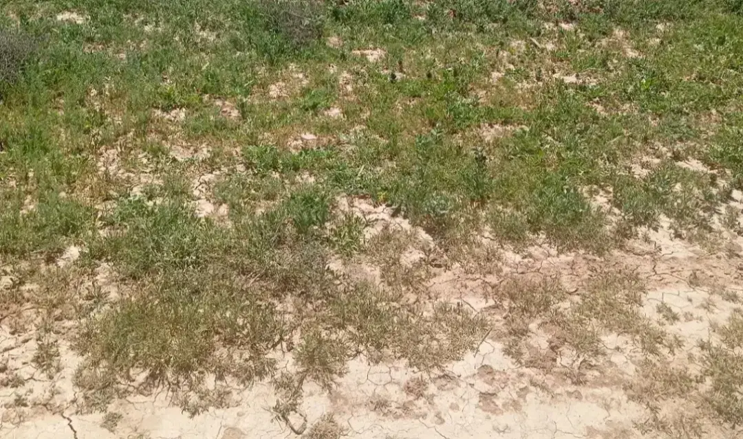 زمین فروشی تجاری