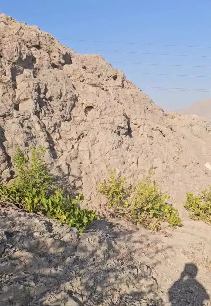 زمین باغی مسکونی