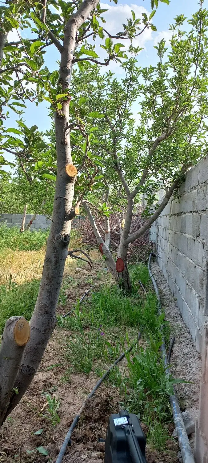 باغ در بستان آباد