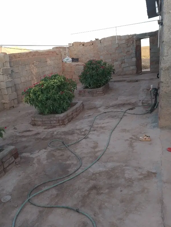 زمین