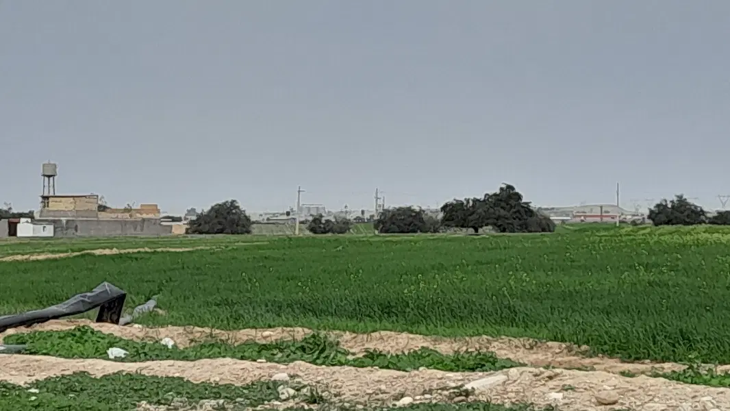 اجاره دو هکتار زمین کشاورزی با آب فراوان