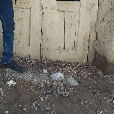 زمین باغ