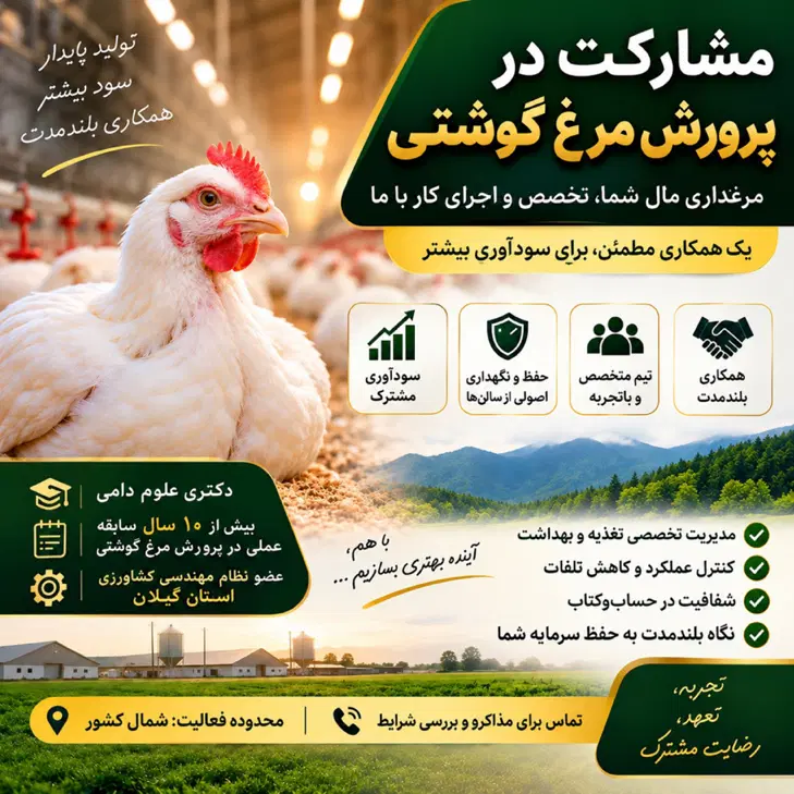 مشارکت حرفه‌ای در پرورش مرغ گوشتی شمال کشور