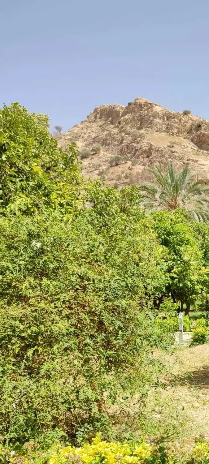 فروش زمین مسکونی