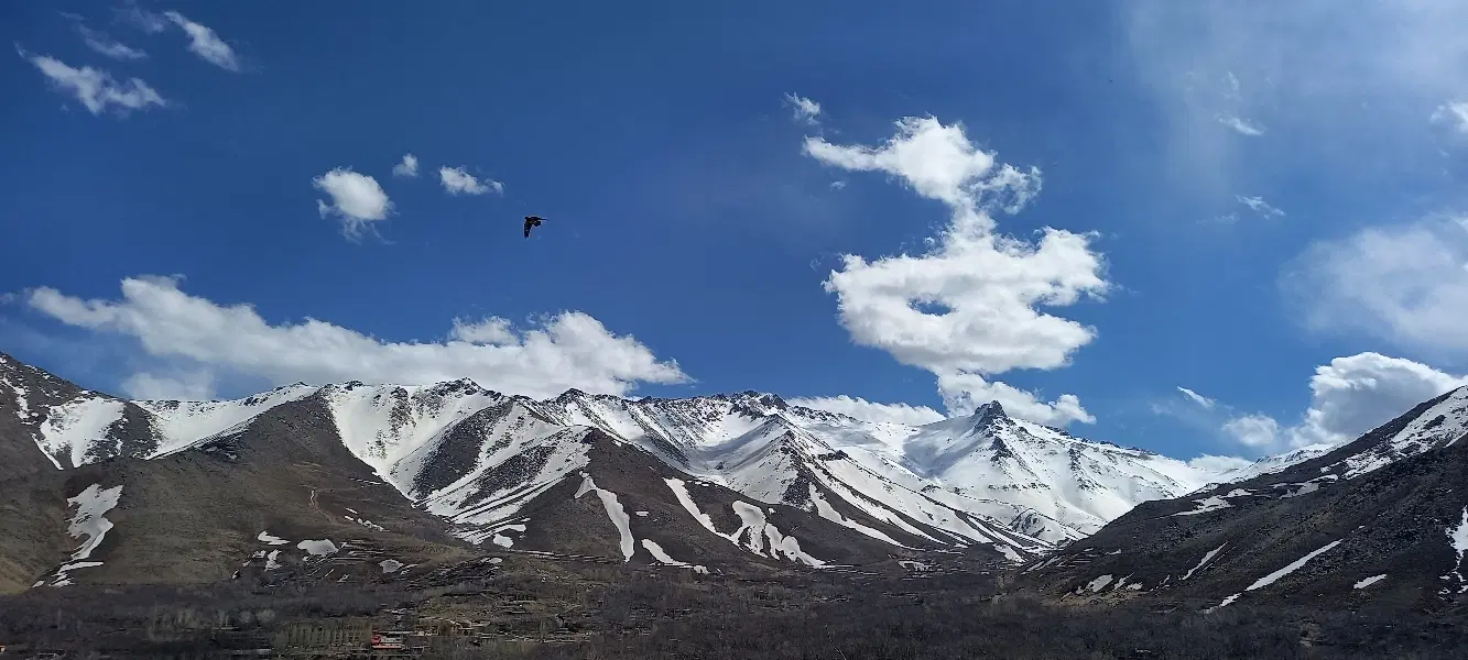 زمین با کاربری مسکونی