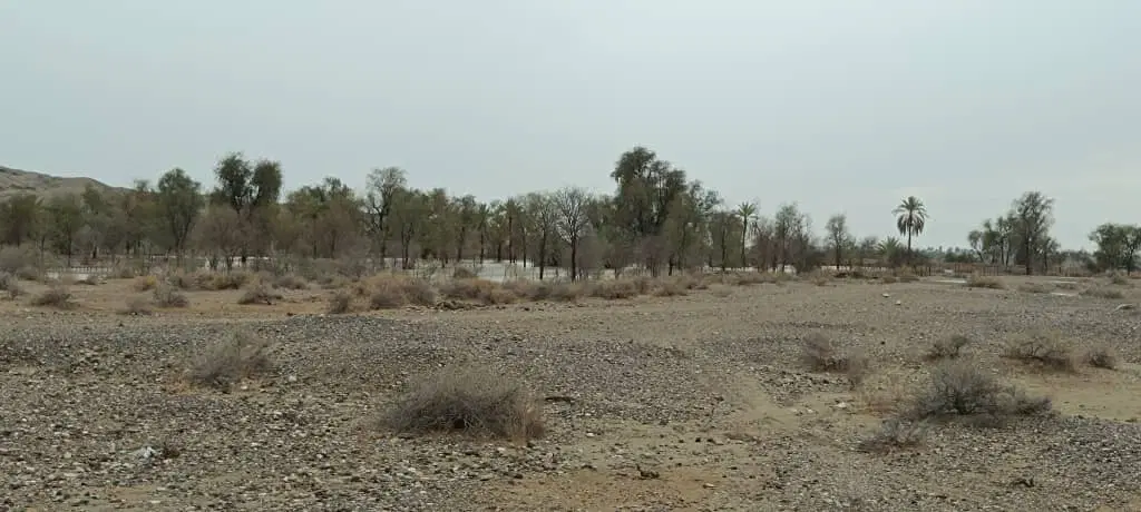 زمین مسکونی