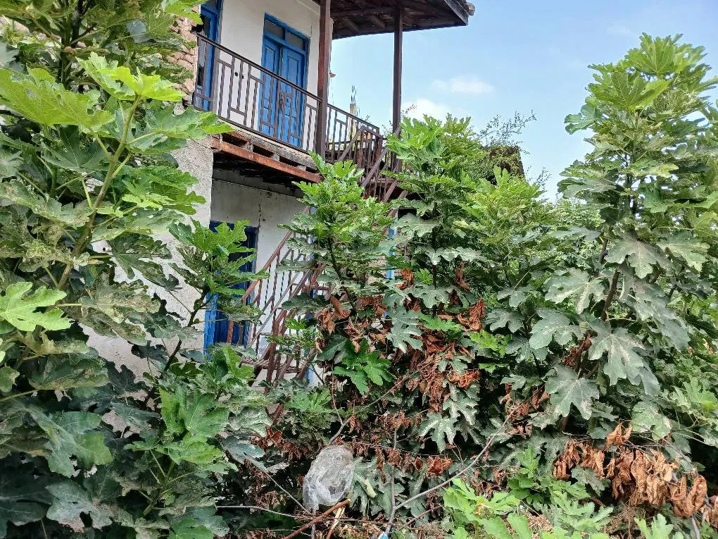 زمین مسکونی 454 متر وسط محله کوهستان