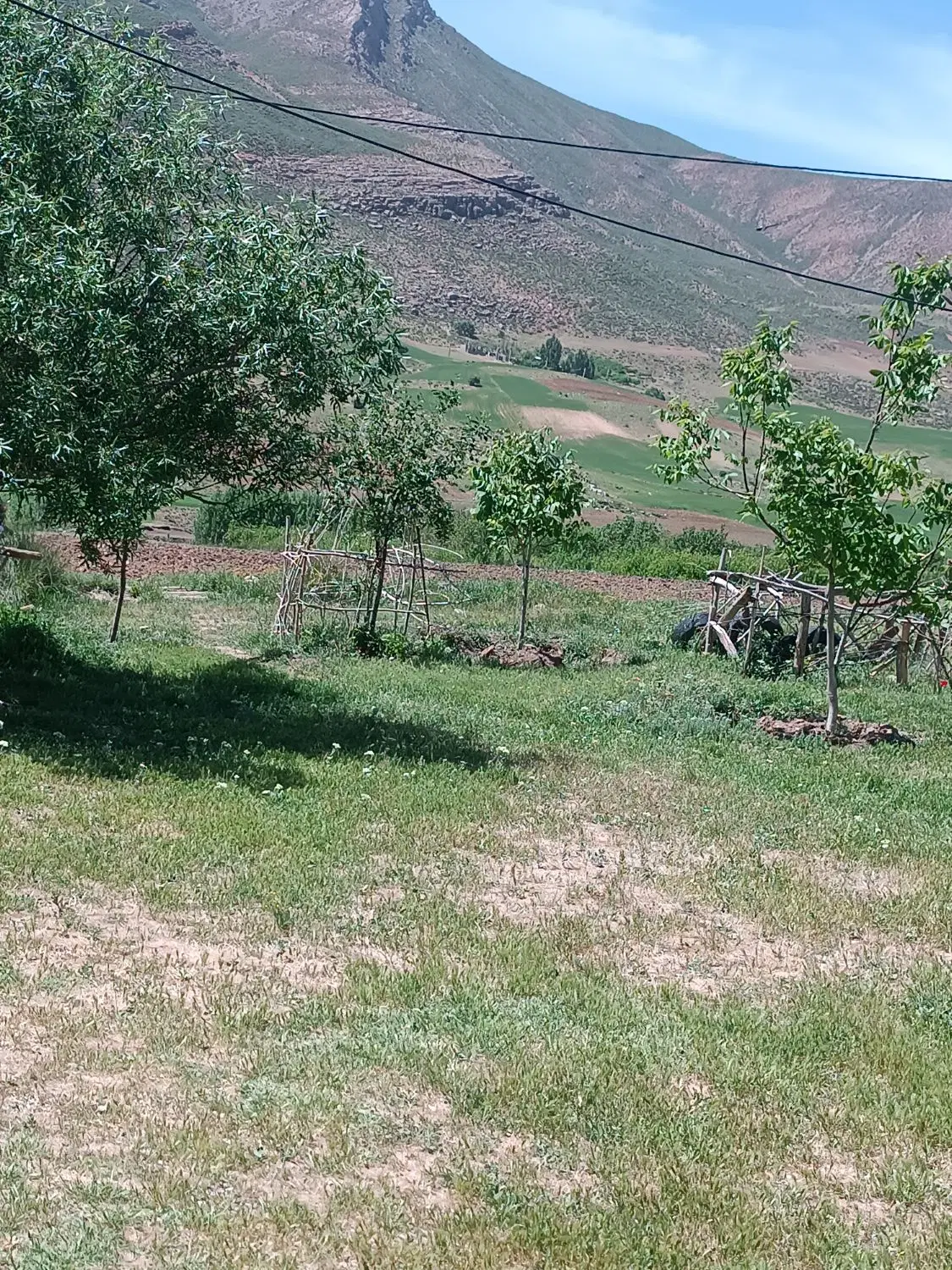 زمین