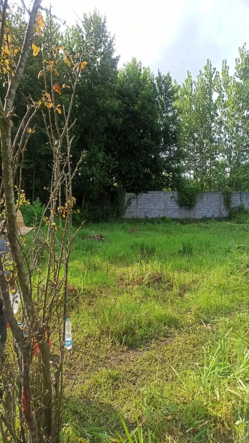 زمین۵۰۰ متر باغی داخل طرح