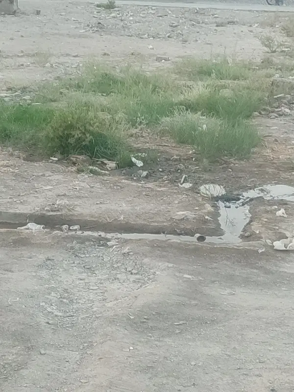 زمین ادیمی فلکه الله سمت چپ روبه رو مسجد بقل پارک