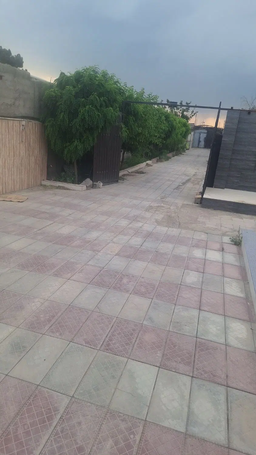 هم خانه