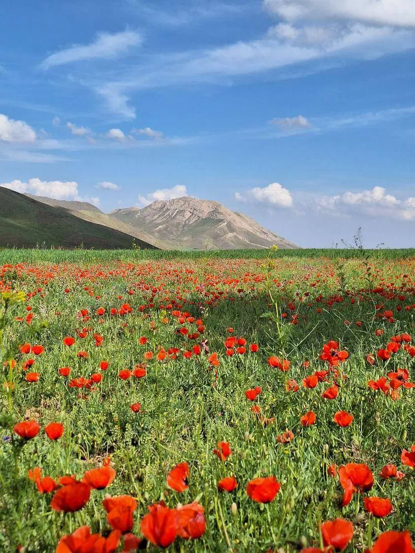 این ملک را آگهی کنید ۱۰۰ میلیون دریافت کنید