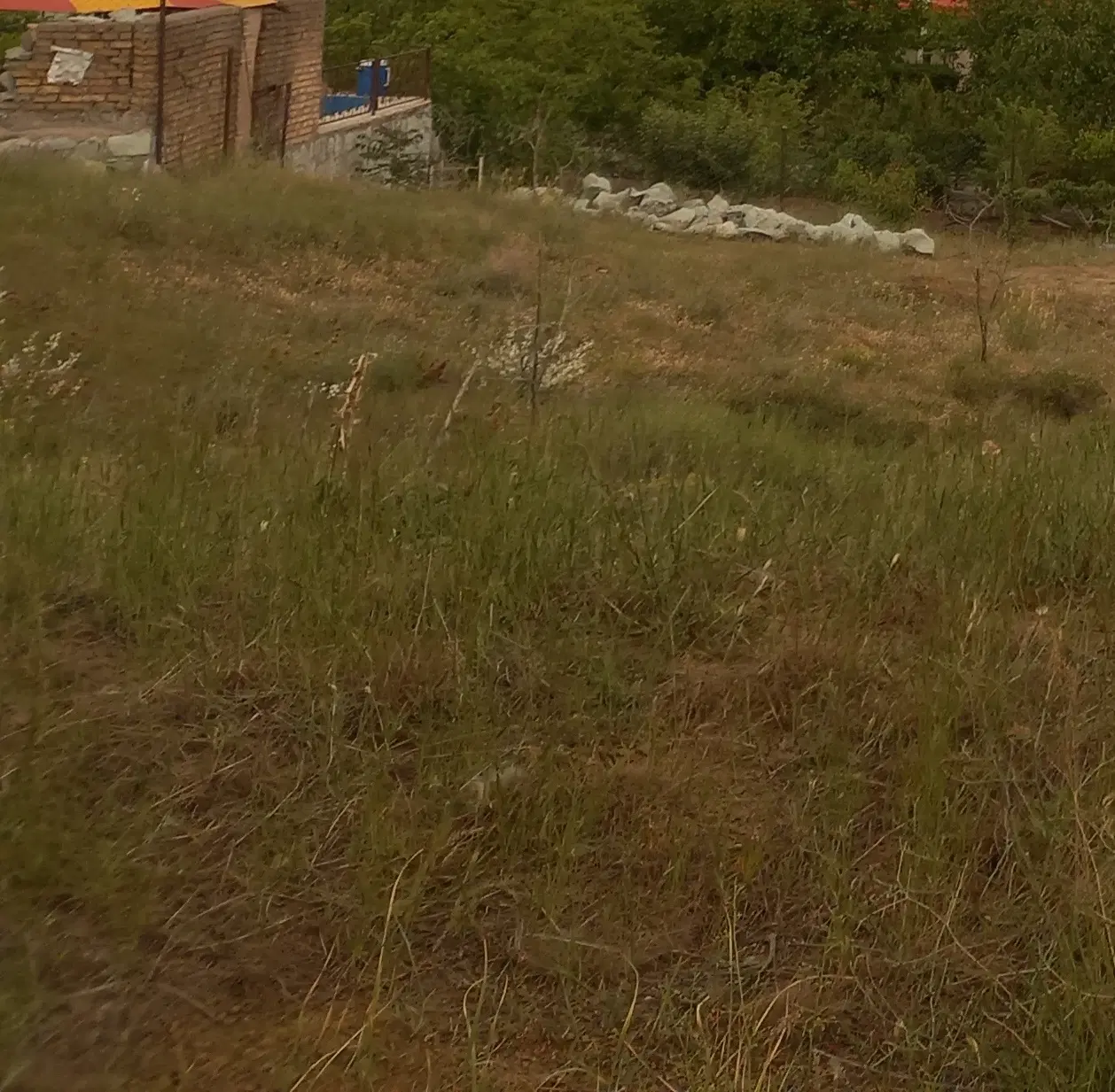 زمین مسکونی ویلایی عبدل آباد