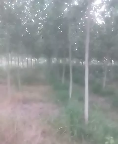 فروش باغ