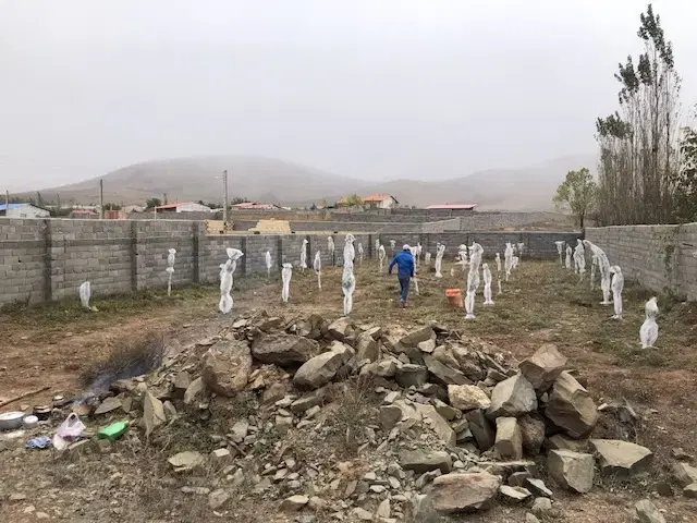 معاوضه زمین مسکونی در واوسر، باغ آماده با زیرساخت