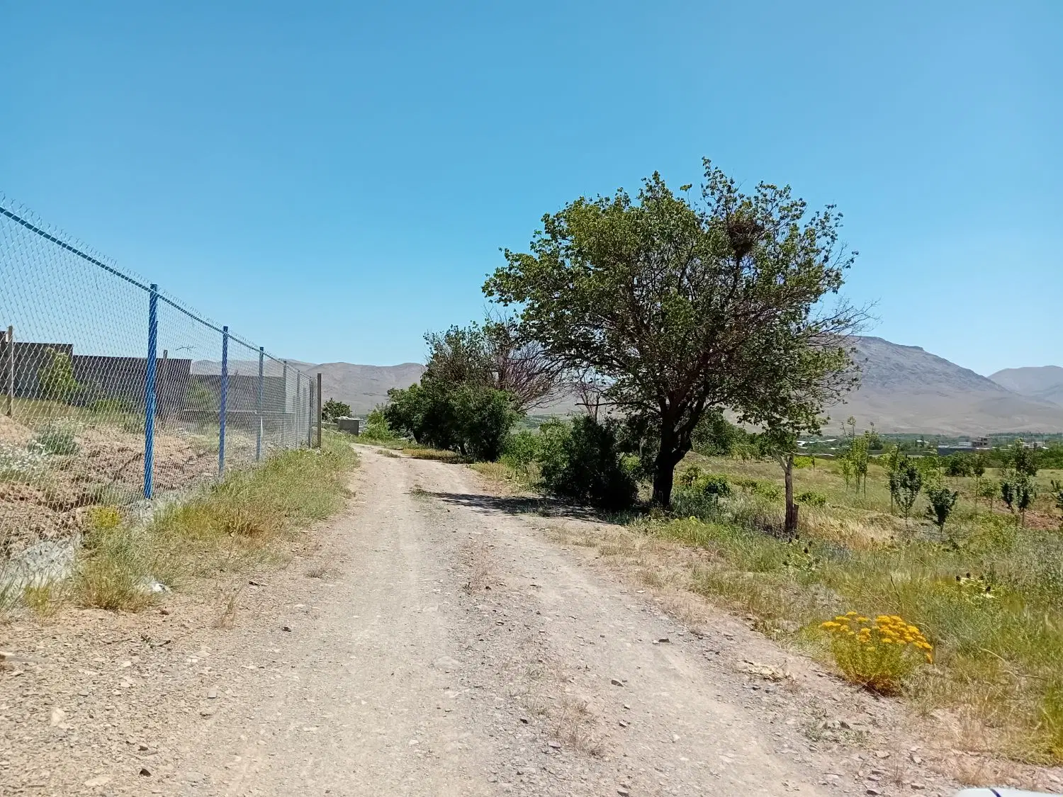 زمین کشاورزی علی آباد