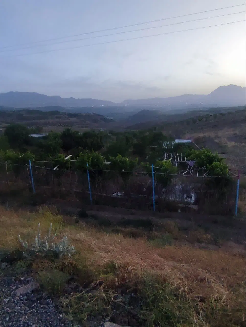 زمین کشاورزی سند دار.