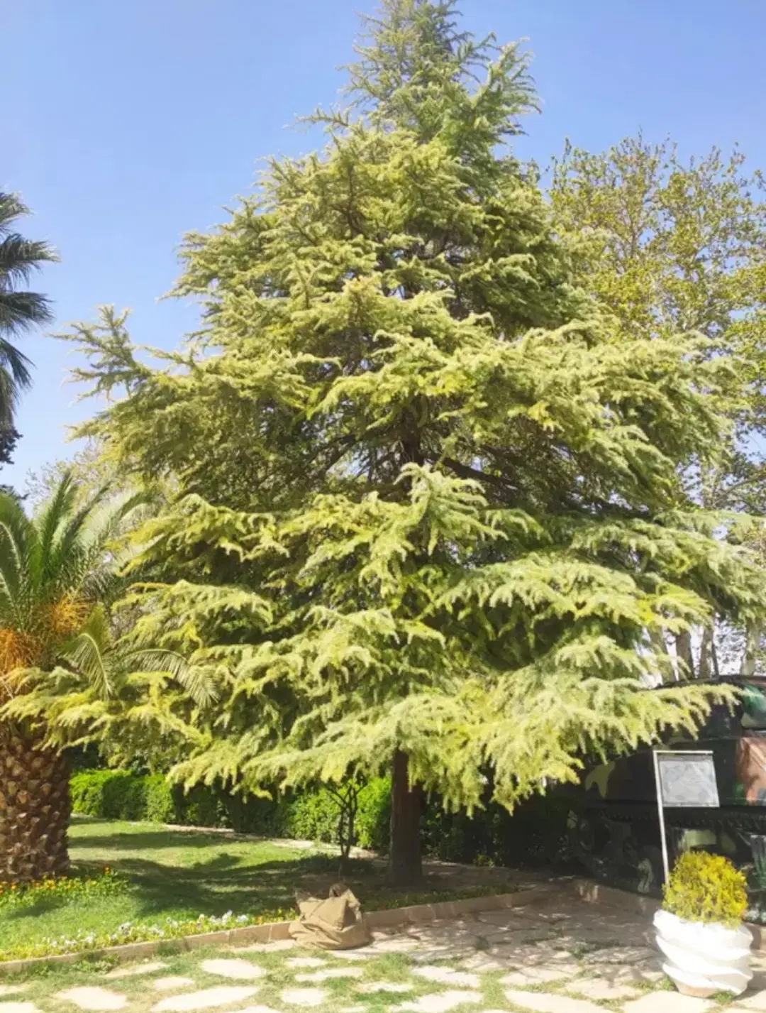 اجاره زمین دور دیوار داخل شهر