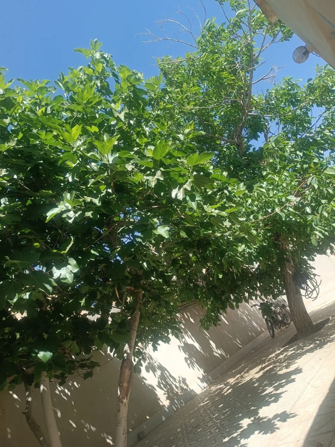 منزل مسکونی