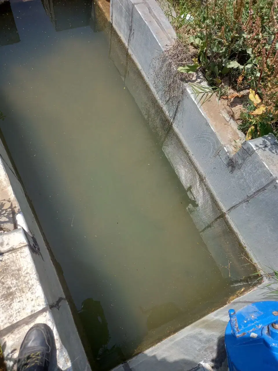 باغ بادام