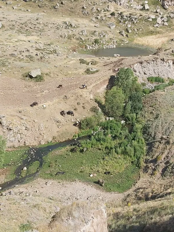 زمین شهرک رزمندگان