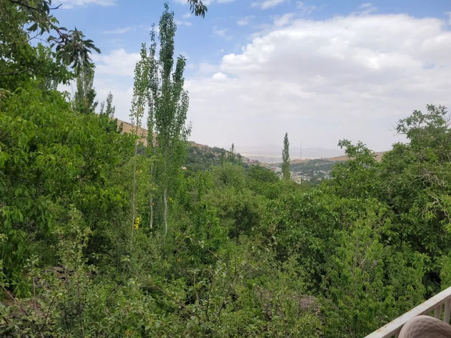 فروش باغ دره مرادبیگ