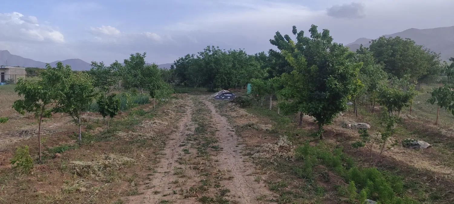 زمین در عقیل آباد و گوار