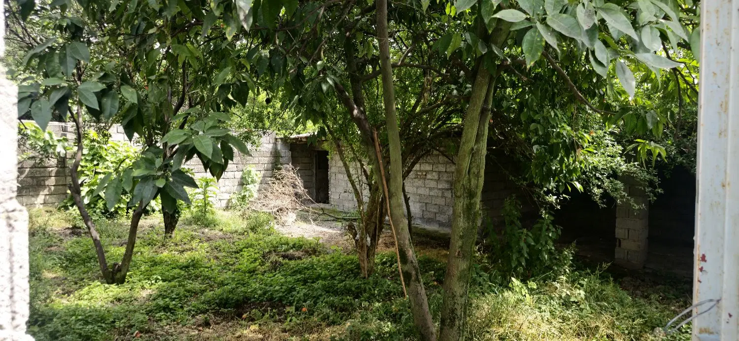 مشارکت در ساخت برای زمین ارزشمند قائمشهر