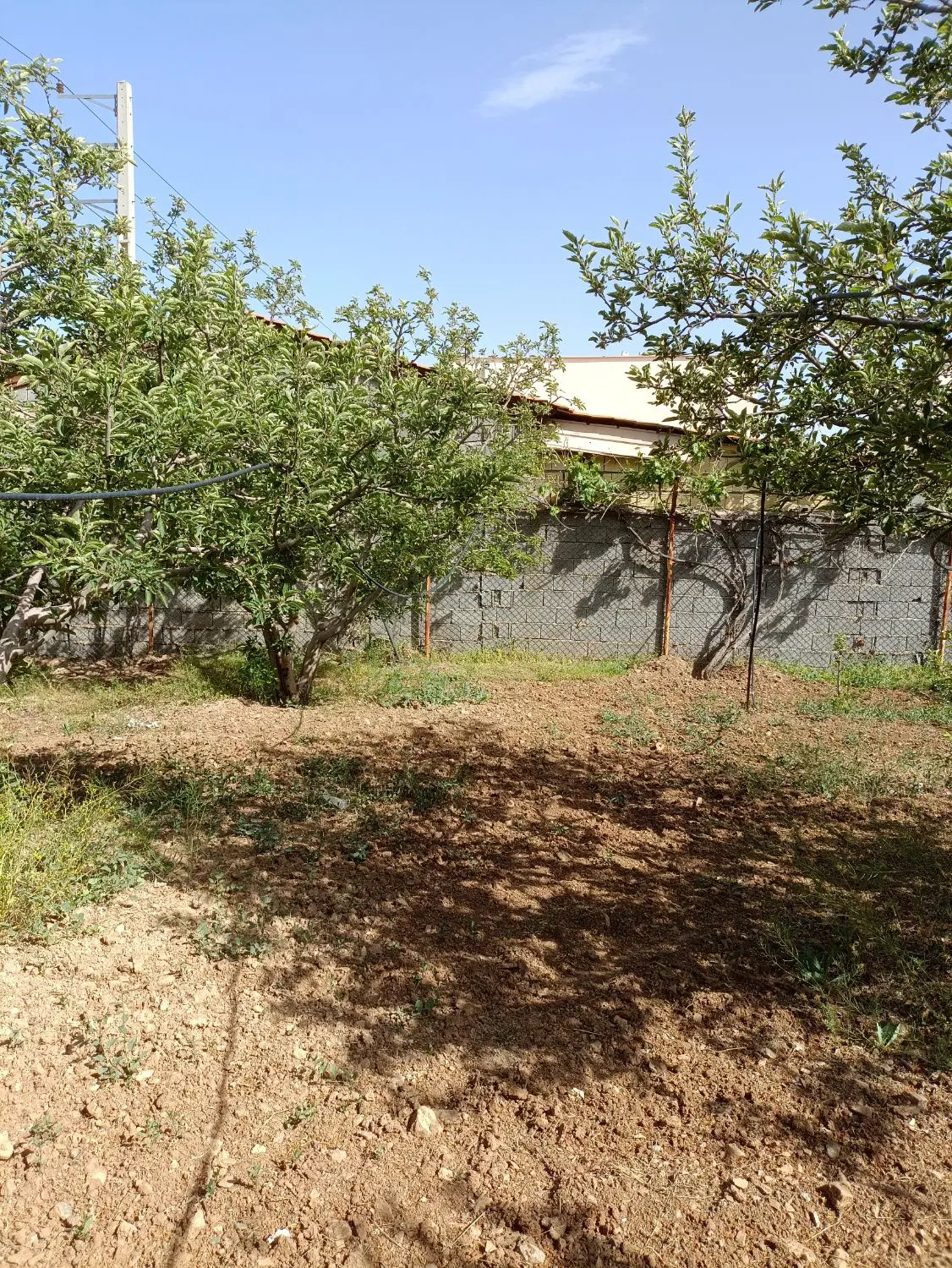 188 متر باغ زمین جابان دماوند)سنددار