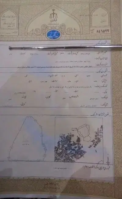 زمین تک برگ سند