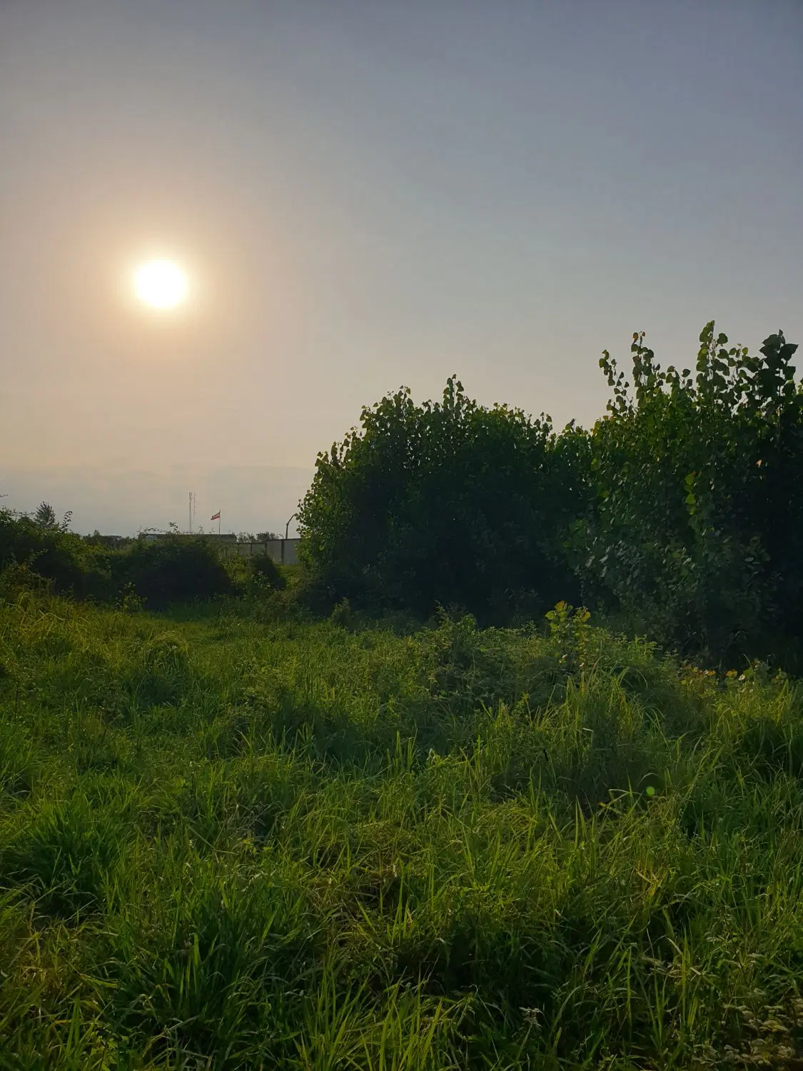 زمین  کویخ