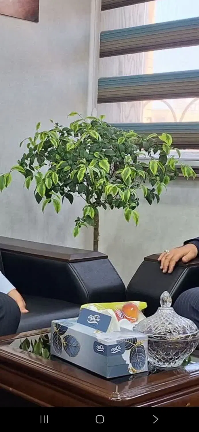 مغازه تجاری رهن  اجاره داده میشود