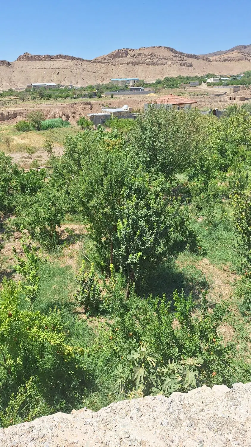 زمین ویلایی استرک