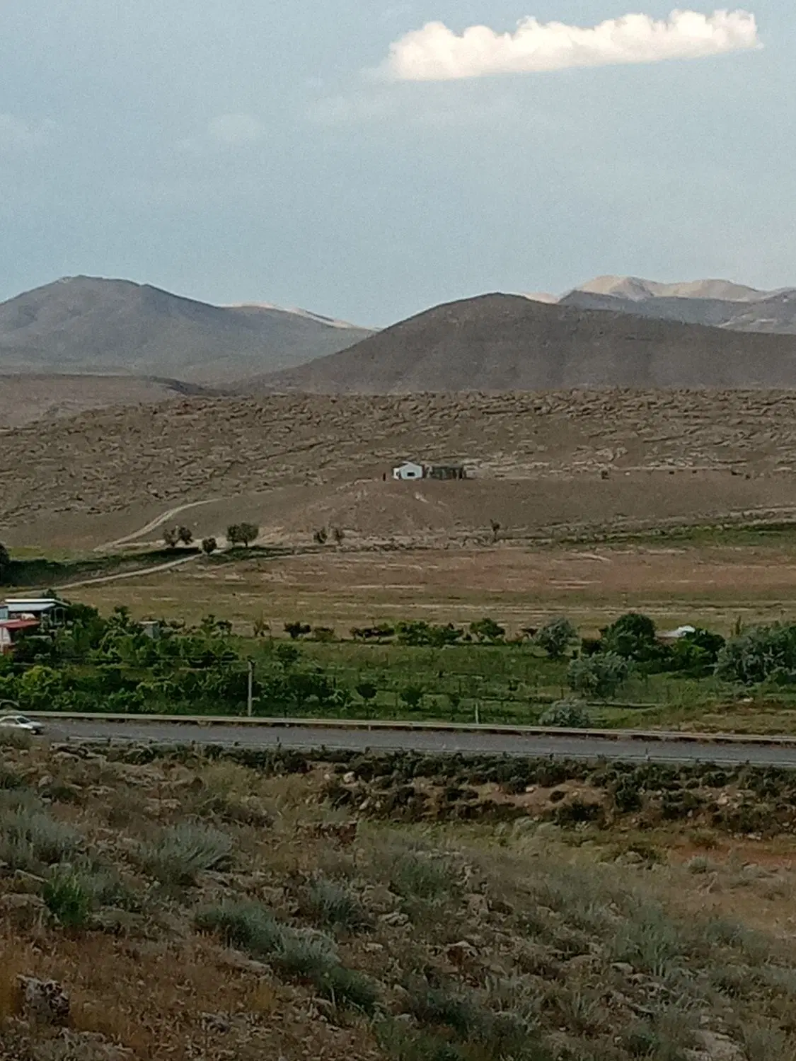 زمین زراعی باغی برجاده