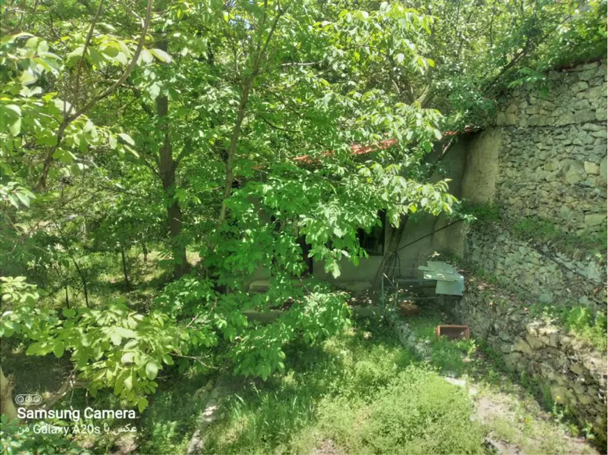 باغچه در کلها جاده چالوس
