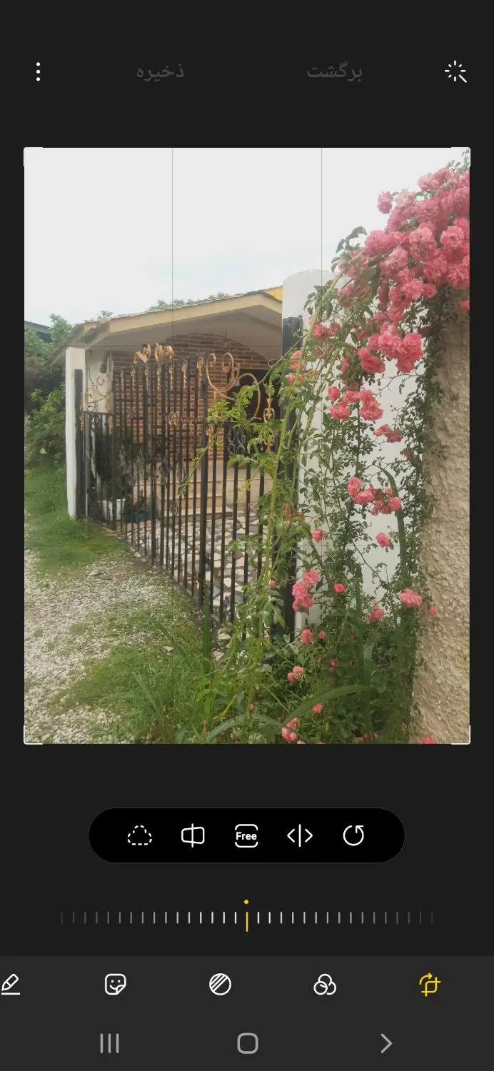 اجاره سالیانه دربست
