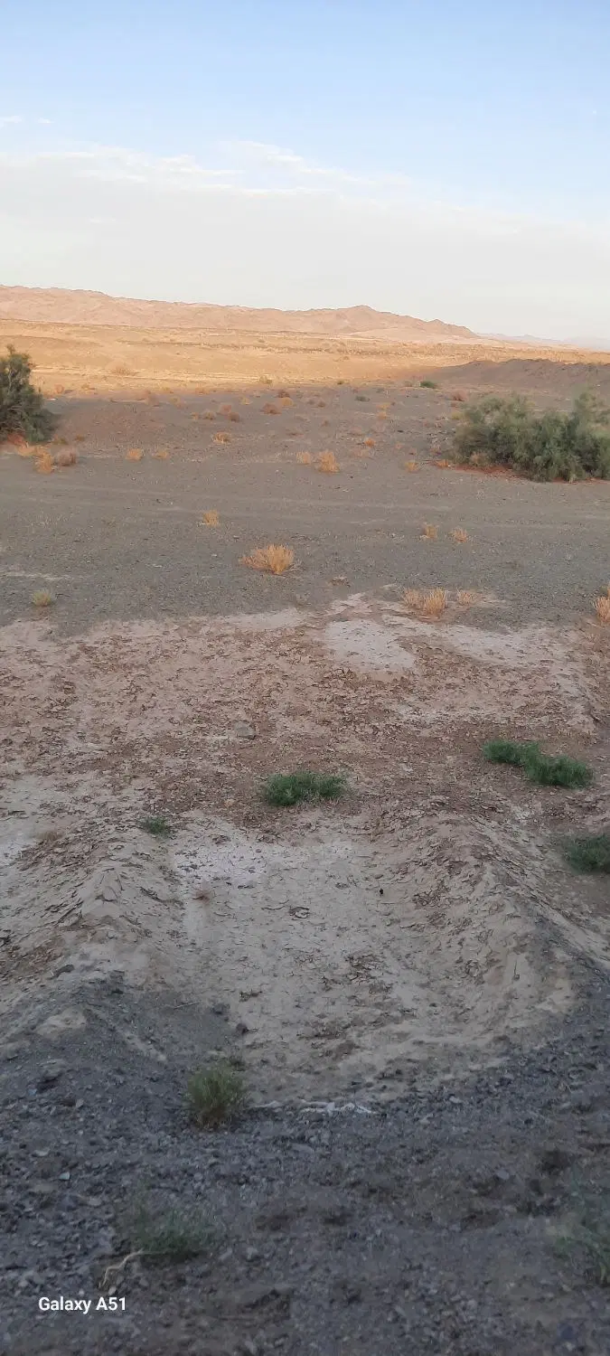 ۳ هکتار زمین خالی  چشمه  زیارت