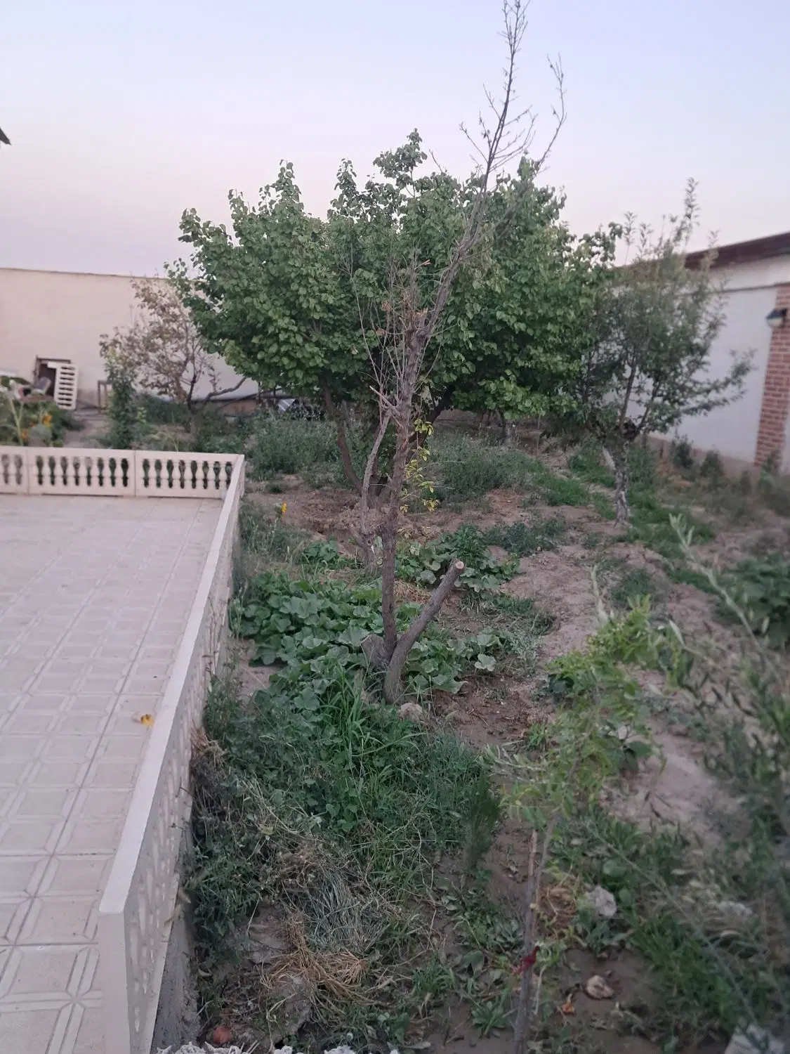 باغچه ۵۰۰ متری خدایار خان ۲