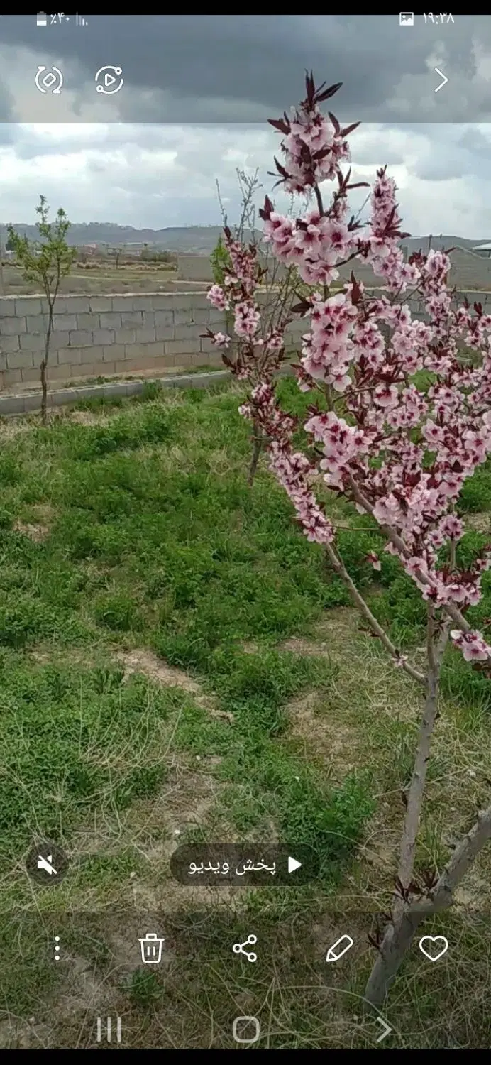 فروش زمین ویلایی
