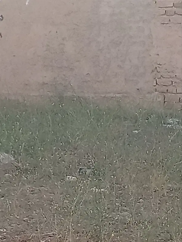 زمین قلعه سنگی