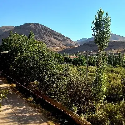 فروش زمین