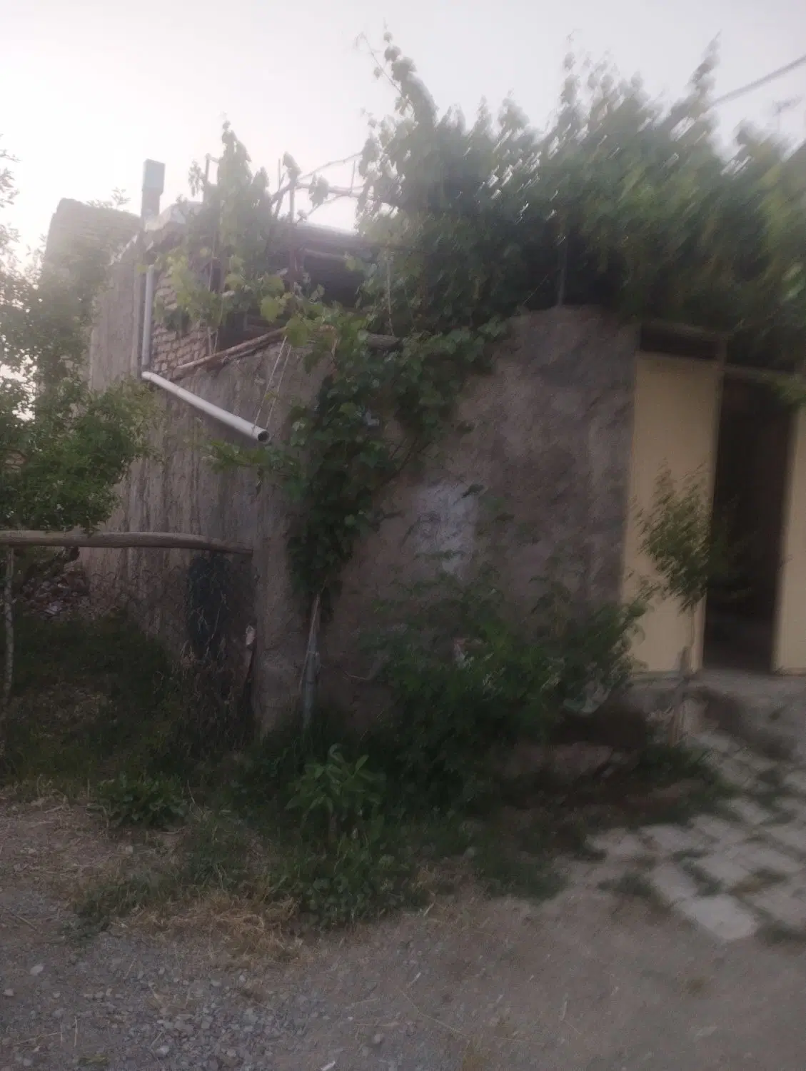 ملک همکف ویلایی