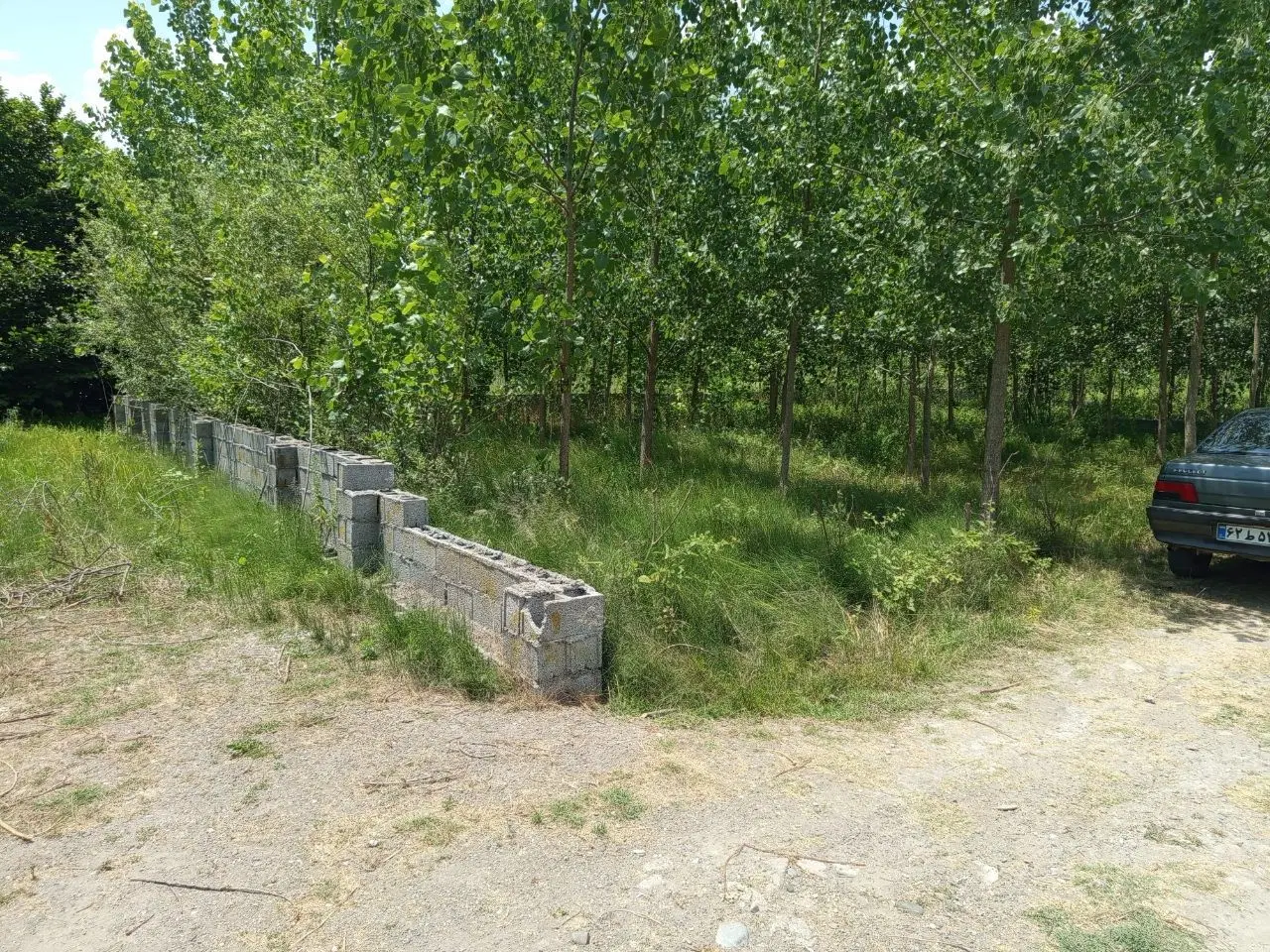 ۲۸۰ متر زمین  دیوار شده