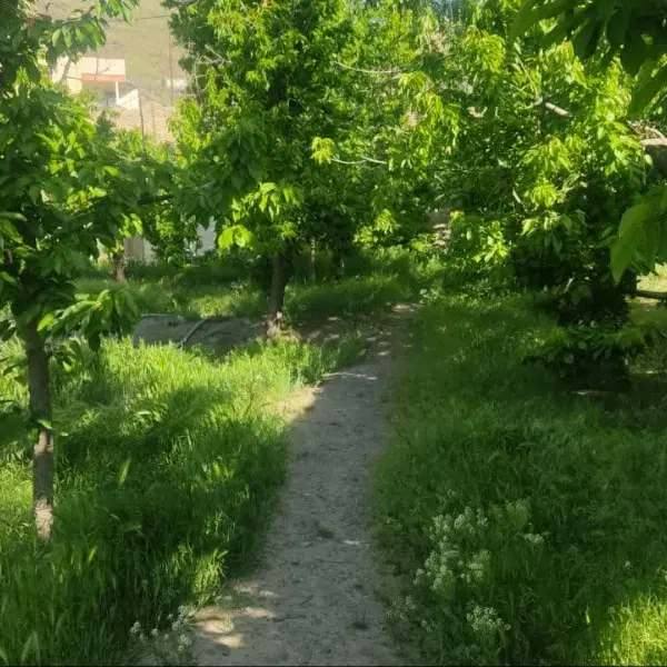 فروش  باغ ویلا در مایان وسطی- طرقبه