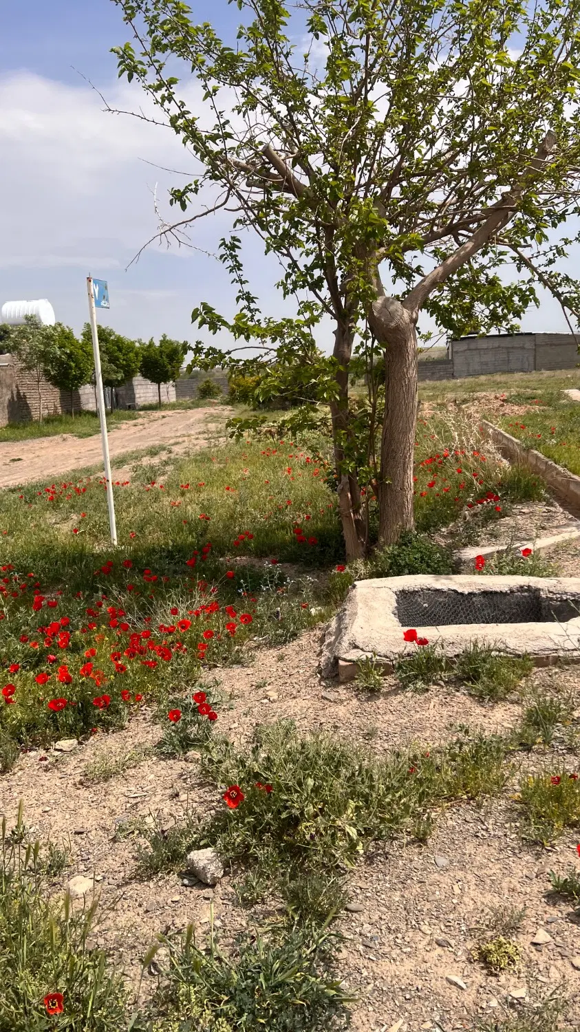 زمین علوم پزشکی