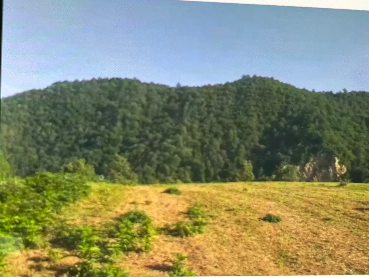زمین میان رستاق علی آباد کتول