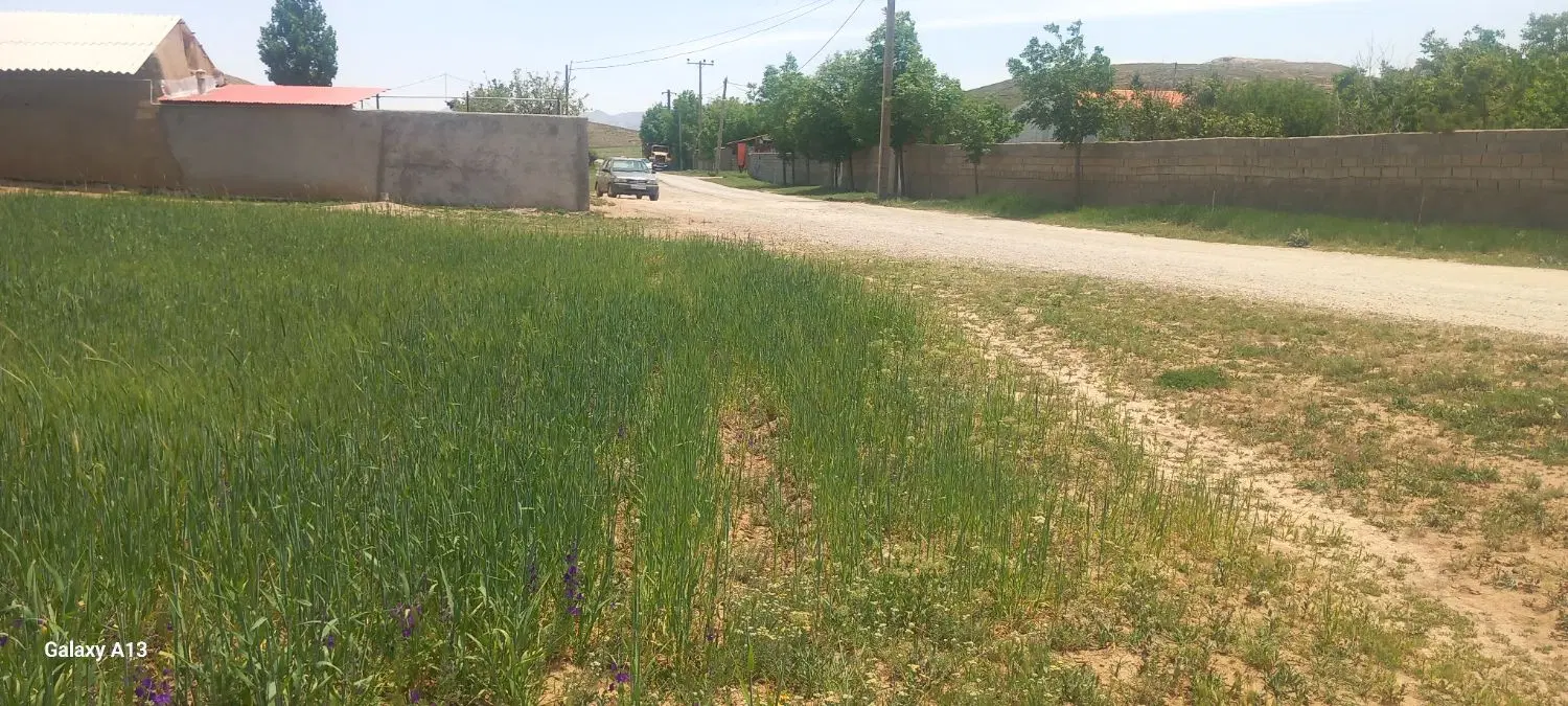 زمین خانه سرا