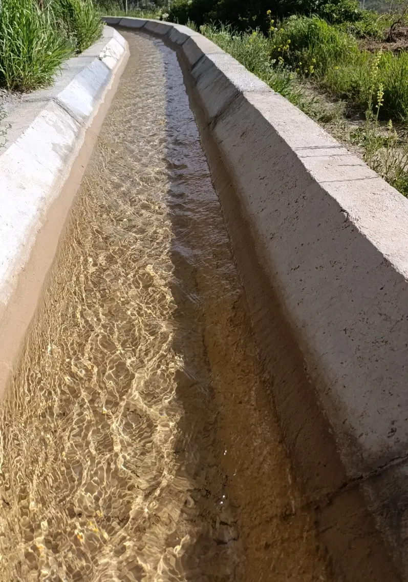 فروش باغ انگور