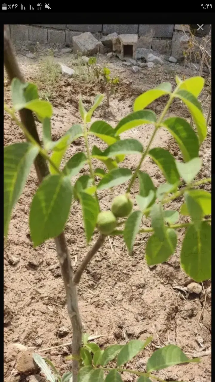 فروش زمین